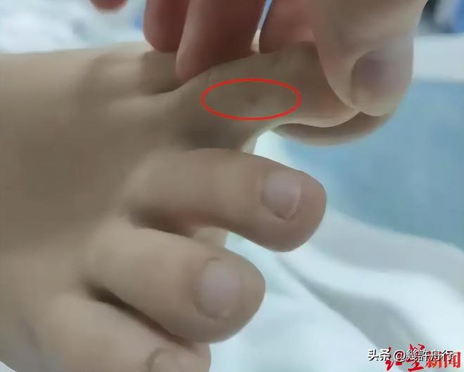 任不只在医院男友曝更多细节细节微妙EVO视讯真人游客命丧三亚后续责(图2)