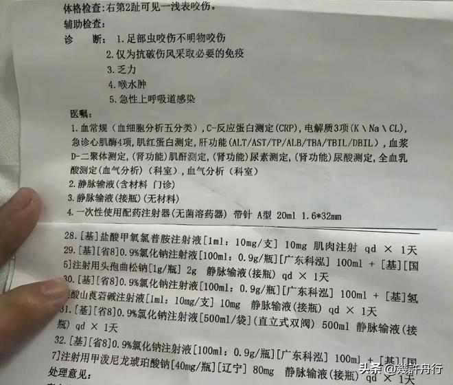 任不只在医院男友曝更多细节细节微妙EVO视讯真人游客命丧三亚后续责(图3)