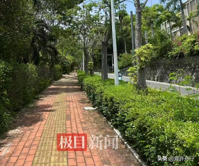 任不只在医院男友曝更多细节细节微妙EVO视讯真人游客命丧三亚后续责(图9)