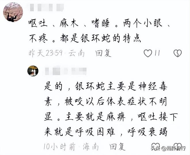 任不只在医院男友曝更多细节细节微妙EVO视讯真人游客命丧三亚后续责(图14)